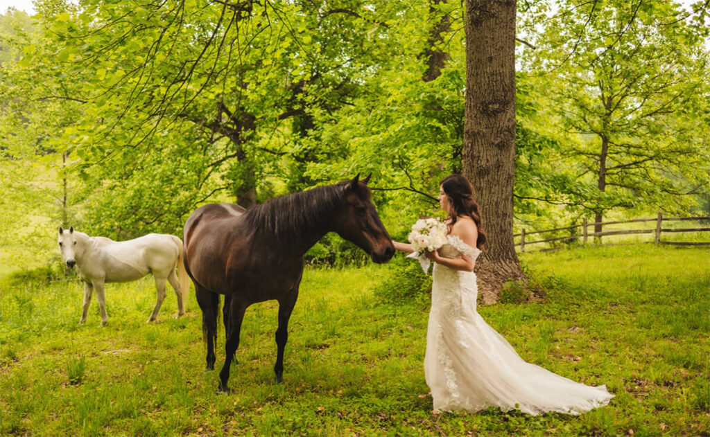 sacred ground wedding officiant virginia